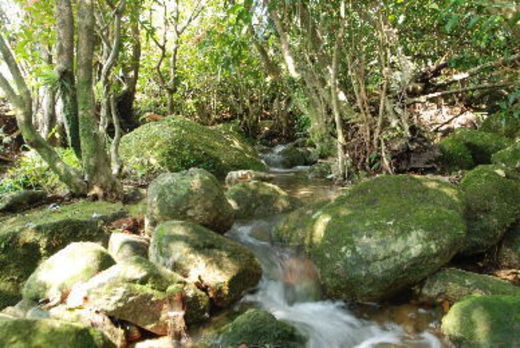 屋久島　六角堂　＜屋久島＞