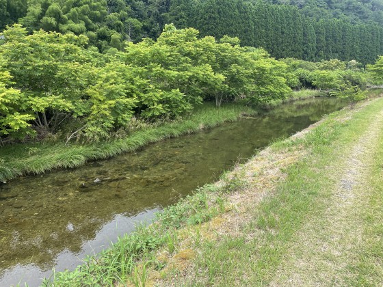 ポパイテンキャンプ場たつの店