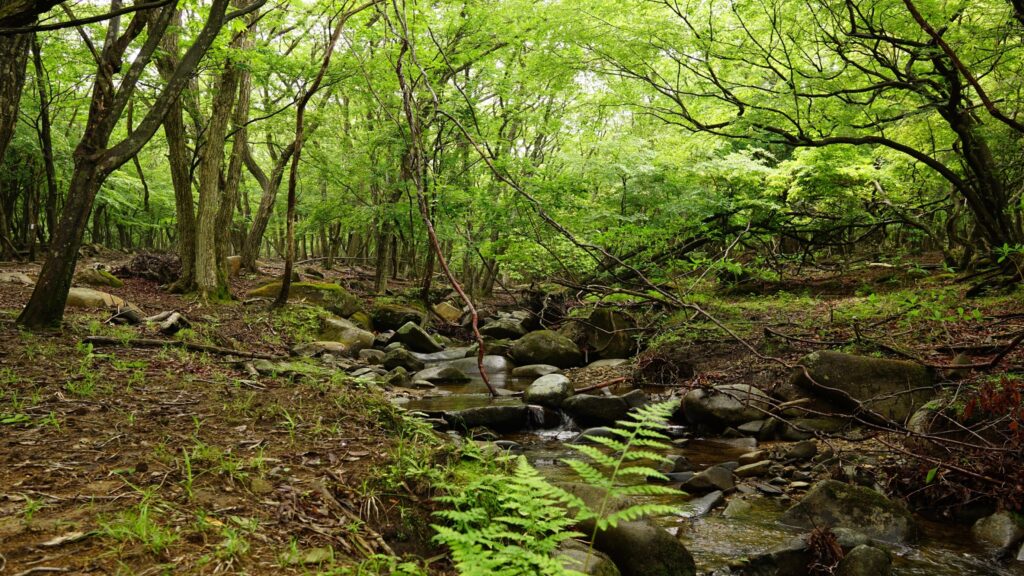 星空の見えるリゾートホテル 峰山高原ホテルリラクシア