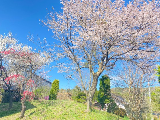 俵屋　-大きな屋根の家-