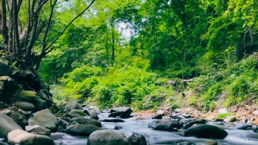 【グランピング】BaCo Resort長野 -水のキャンパス-