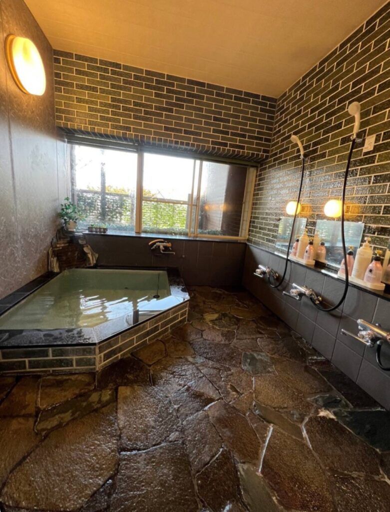 Designers Cottage SilverSpray