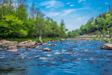 川が近い貸別荘・コテージ