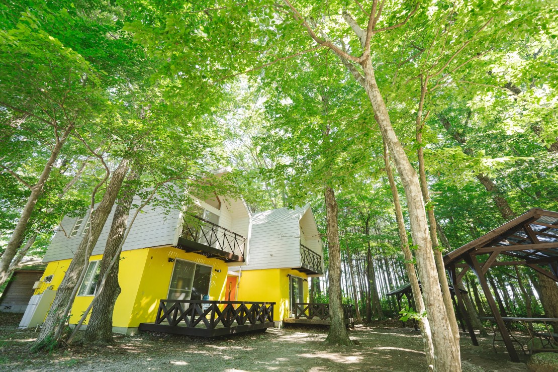 栃木県 那須・板室のコテージ｜那須高原 コテージ＆ヴィラ YellowBase（3LDKコテージヴィラ：1~9名定員）の写真：大自然の緑に黄色のコテージがよく映えます！