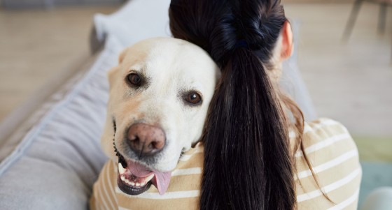栃木県 那須・板室の貸別荘・コテージ｜デュエットリゾートHana那須バリ：ペットOK