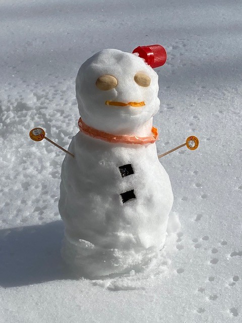 栃木県 那須・板室の貸別荘・コテージ｜那須サウンドヴィラの写真：お客様が作ってくれた雪だるま