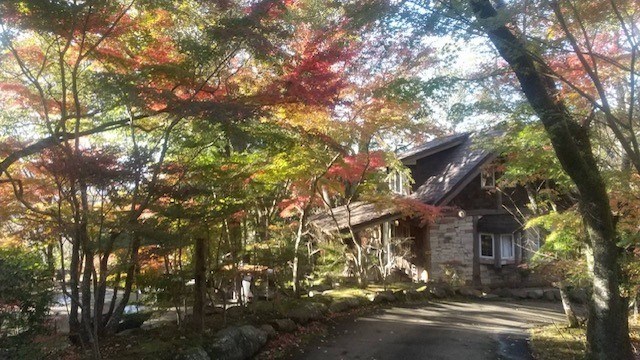 静岡県 中伊豆のコテージ｜癒しの森スターヒルズ　ララの家の写真：ララ紅葉