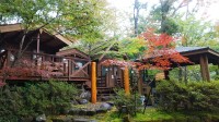 静岡県 中伊豆の貸別荘・コテージ｜癒しの森スターヒルズ　キキの家