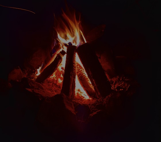 群馬県 北軽井沢・嬬恋・万座の貸別荘・コテージ｜森のログハウスSENの写真：焚き火OKのコテージ