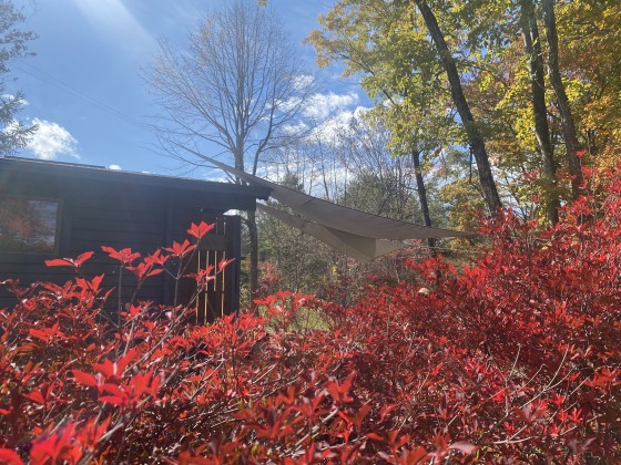 群馬県 北軽井沢・嬬恋・万座の貸別荘・コテージ｜森のログハウスSENの写真：紅葉が楽しめるコテージ