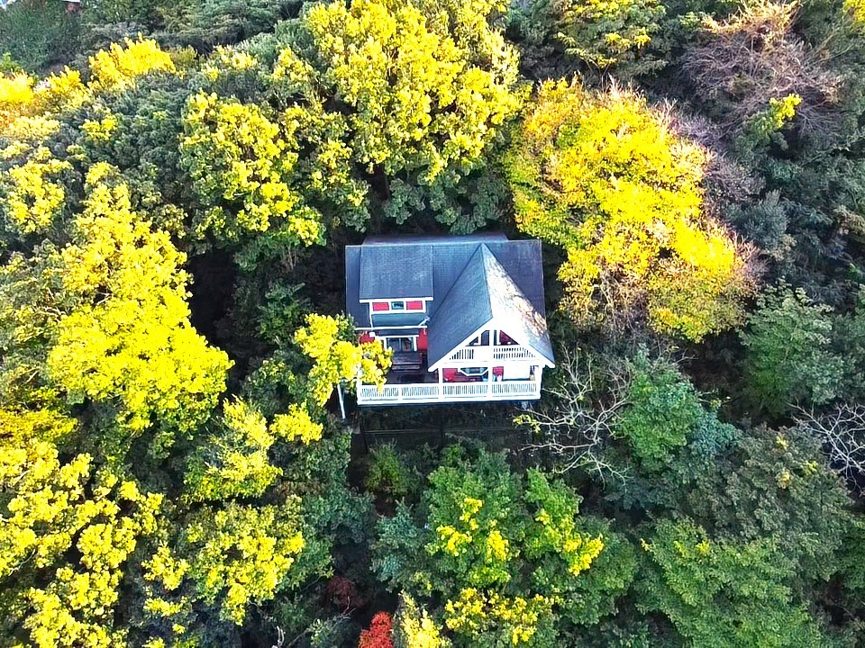 静岡県 熱海のコテージ｜オーシャンビューログハウス　ハートウッド熱海邸の写真：緑に囲まれたログハウス