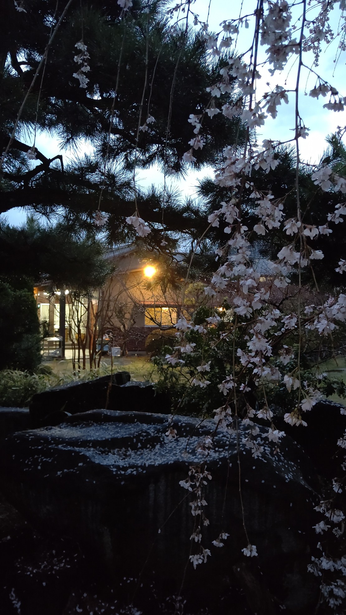 山梨県 石和・勝沼・塩山のコテージ｜ユニバーサル石和の写真：庭