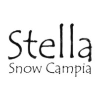 Stella Snow Campia 南信州　“MOSS TENTS CAMP SITE”