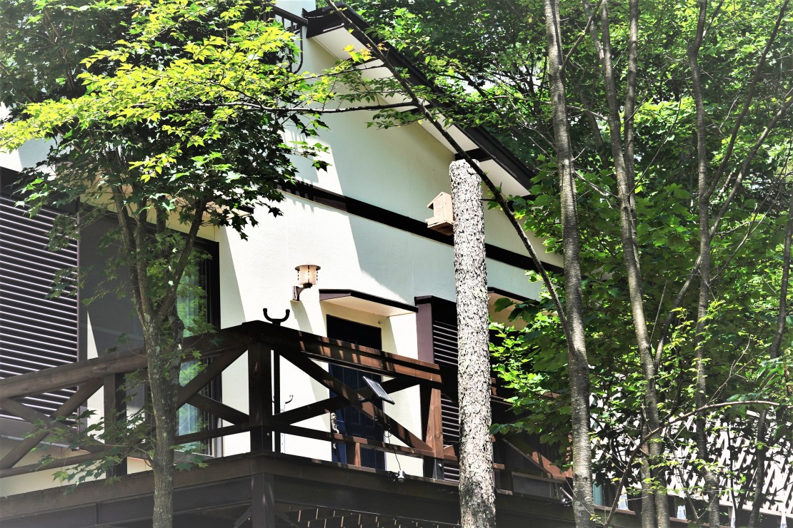 山梨県 八ヶ岳・清里・小淵沢・大泉のコテージ｜ヤマハウスの写真：静かで涼しいロケーションの貸別荘です