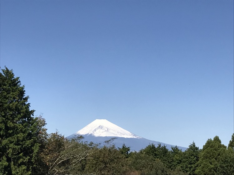 静岡県 熱海の貸別荘・コテージ｜貸別荘シエスタの写真：富士山ビュー
