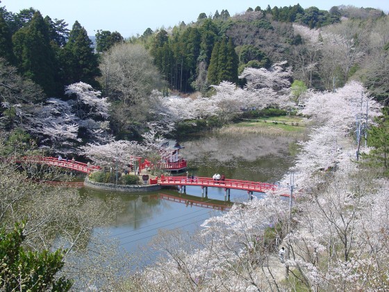 千葉県 九十九里・銚子の貸別荘・コテージ｜THE Air一宮　-North-：桜