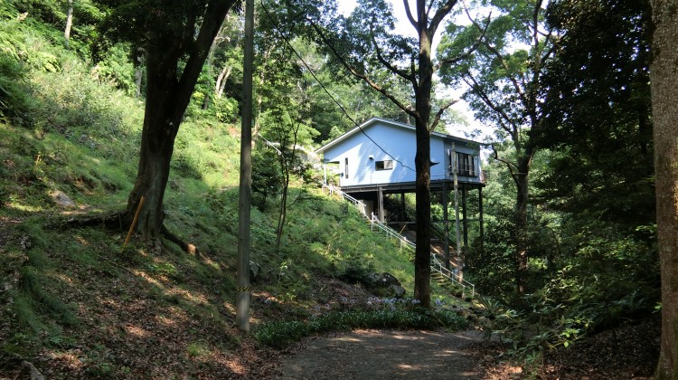 静岡県 熱海のコテージ｜スタジオ・ウーハの写真：森の中に一軒だけの貸別荘