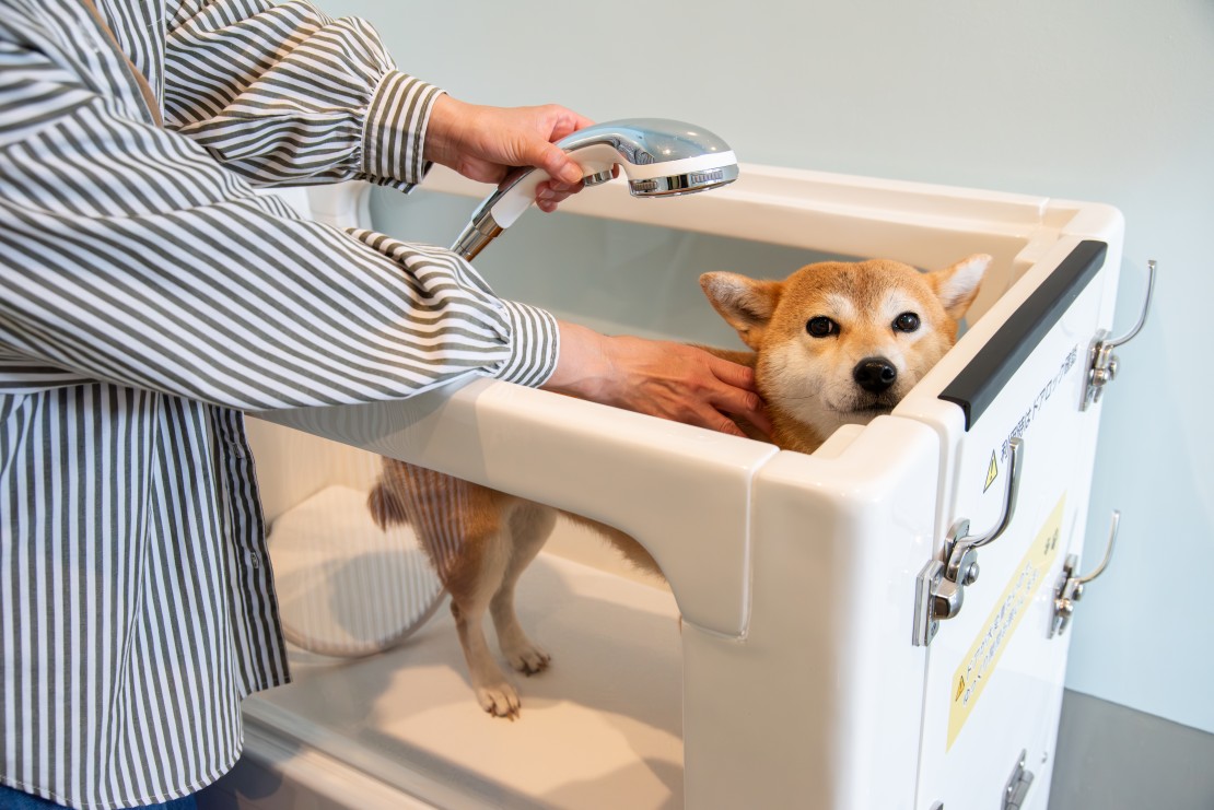 Dog Villa SAMPO(ドッグ ヴィラ サンポ)|千葉県・館山・南房総|トリミングルーム
ワンちゃん用のお風呂
シャワーはマイクロバブル