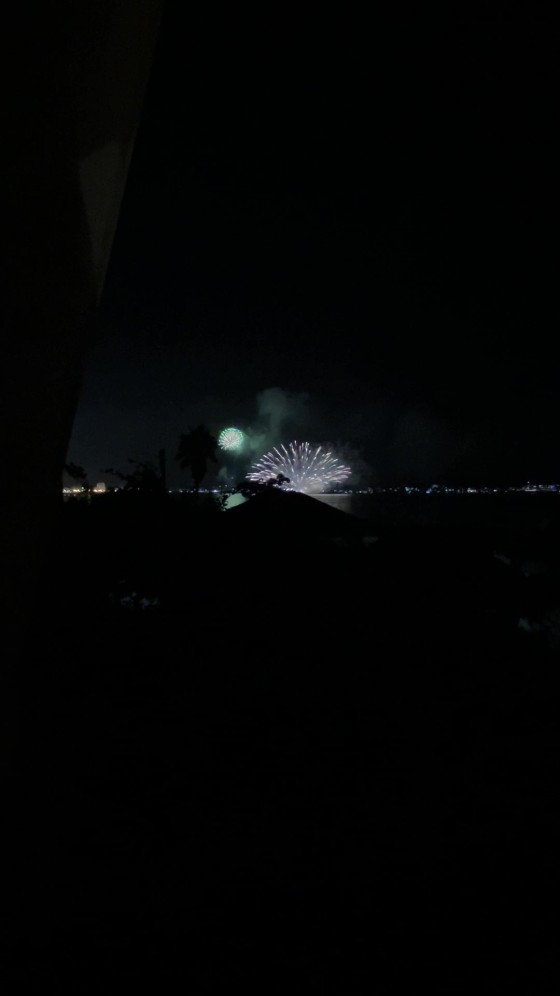 千葉県 館山・南房総の貸別荘・コテージ｜Dog Villa SAMPO（ドッグ ヴィラ サンポ）：花火大会