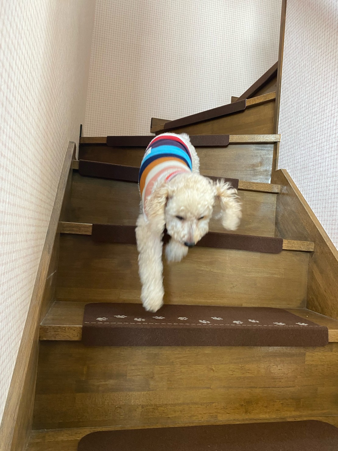 新潟県 上越・糸魚川・妙高のコテージ｜Cottege Muminの写真：２階への階段は滑り止め付き