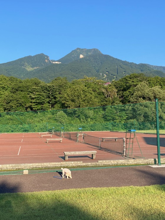 新潟県 上越・糸魚川・妙高の貸別荘・コテージ｜Cottege Mumin：テニス