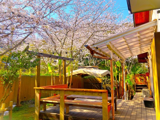 千葉県 木更津・君津・富津の貸別荘・コテージ｜金谷バナナハウスの写真：季節の花が楽しめるコテージ