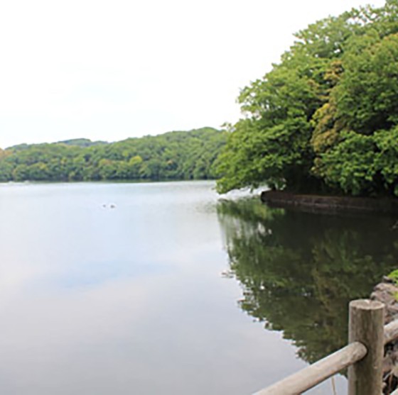 静岡県 伊豆高原の貸別荘・コテージ｜鳥と木の実 ワイルドストロベリー：湖