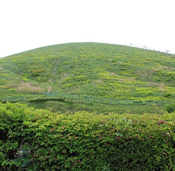 静岡県 伊豆高原の貸別荘・コテージ｜鳥と木の実 ワイルドストロベリー：山