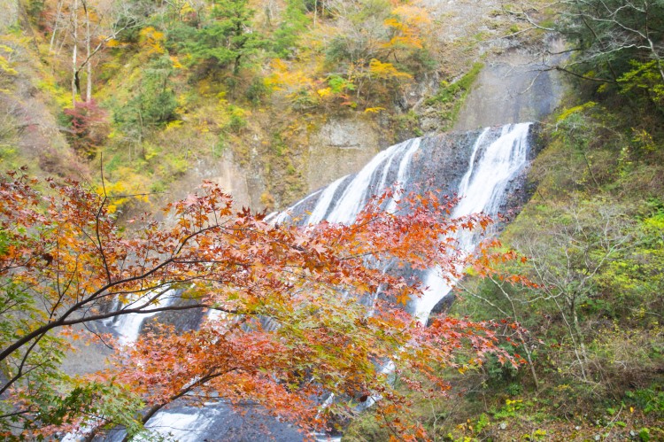 大谷石の蔵サウナと古民家宿 DAIGO SAUNA｜茨城県・北茨城・奥久慈・日立の特徴写真｜袋田の滝