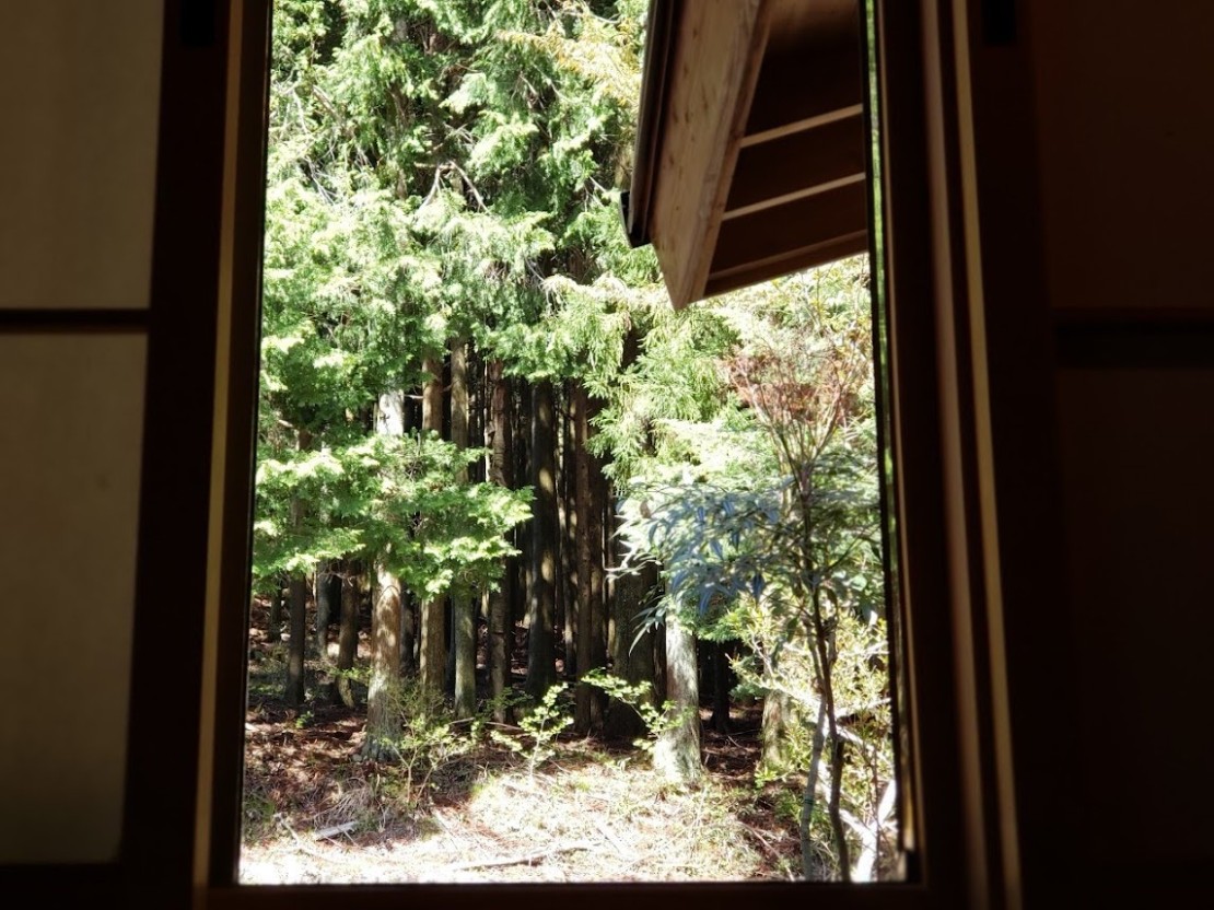 奈良県 吉野・奥吉野のコテージ｜隠宿御杖sachi庵の写真：和室の窓から外を臨む