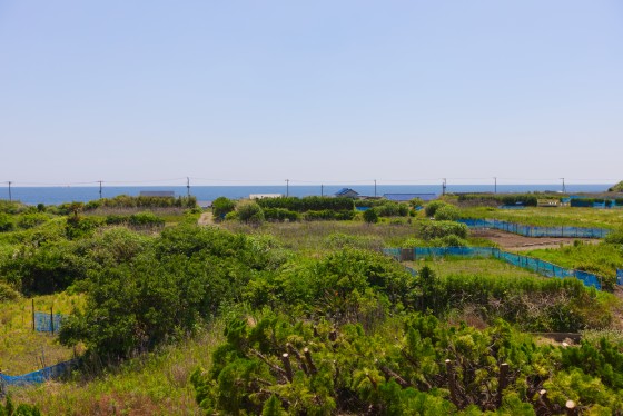 千葉県 館山・南房総の貸別荘・コテージ｜ocean resort mint：オーシャンビュー