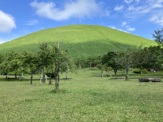 静岡県 伊豆高原の貸別荘・コテージ｜izukougen366八幡野の写真：公園近隣のコテージ