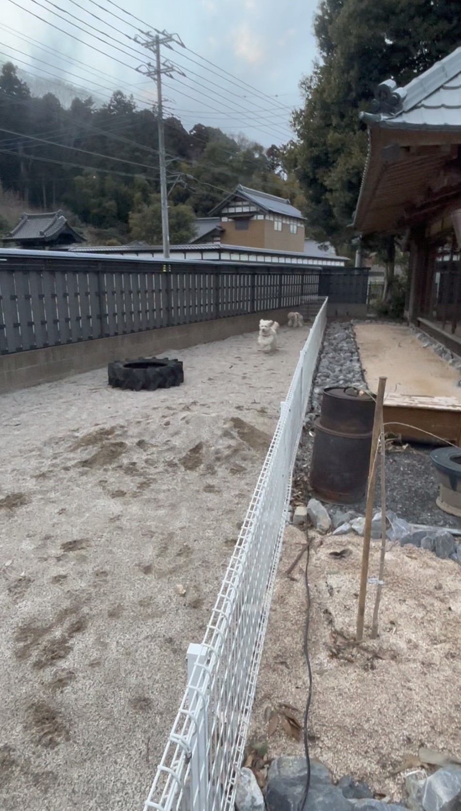 昭和体験宿Rin｜茨城県・霞ヶ浦・土浦・鹿島・潮来｜ドッグラン
砂のクッション性は、愛犬の関節への負担を軽減します。
掘ったり、寝そべったり、本能的に遊ぶ姿を
お楽しみください。