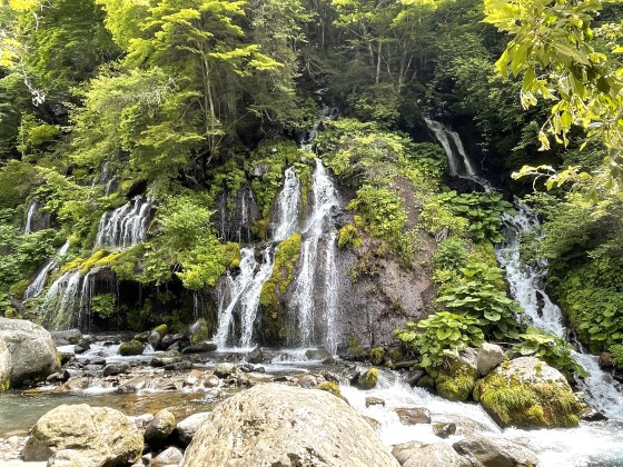 山梨県 八ヶ岳・清里・小淵沢・大泉の貸別荘・コテージ｜TYY八ヶ岳Baseの写真：ハイキングが楽しめるコテージ