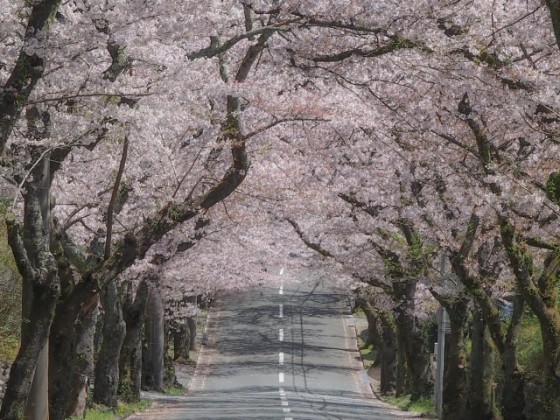静岡県 伊豆高原の貸別荘・コテージ|一本のえんぴつ:観光