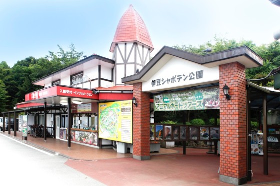静岡県 伊豆高原の貸別荘・コテージ｜伊豆iroha：観光