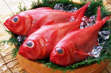 静岡県 伊豆高原の貸別荘・コテージ｜伊豆iroha：グルメ