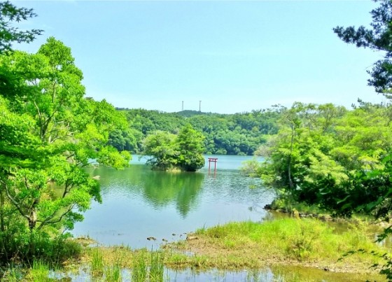 静岡県 伊豆高原の貸別荘・コテージ｜無限館：湖