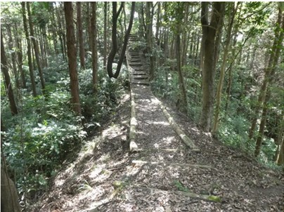 千葉県 勝浦・鴨川の貸別荘・コテージ｜中野屋・母屋の写真：森が近いコテージ