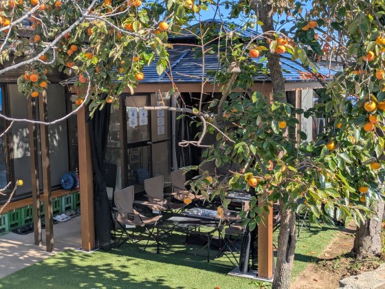 福島県 郡山の貸別荘・コテージ｜f life houseの写真：お花見にぴったり！桜が楽しめるコテージ