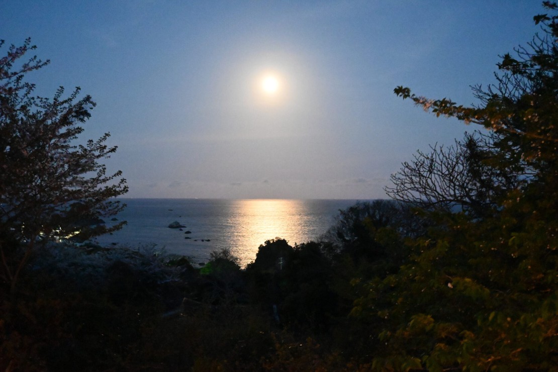 Vacation Home & Atelier VILLA PINECOVE|千葉県・館山・南房総|海夜をまっすぐに照らす月の光が、あなたの休日を特別な非日常なものへと変えていきます。