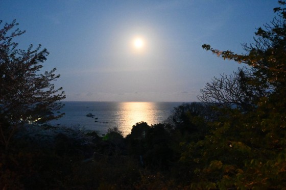 千葉県 館山・南房総の貸別荘・コテージ｜Vacation Home & Atelier VILLA PINECOVE：天体観測・星空