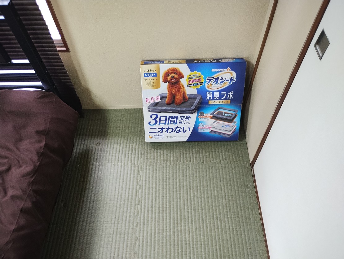 コテージinZYX（ジィックス）｜静岡県・伊東・宇佐美・川奈｜ペットトイレ
他の備品（オムツおやつ）等は御持参ください。