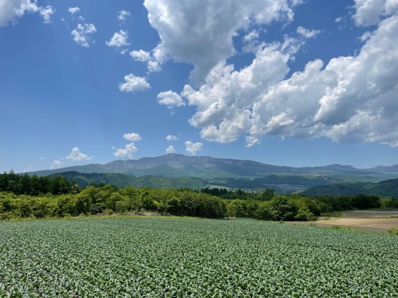群馬県 北軽井沢・嬬恋・万座の貸別荘・コテージ｜アウトドアアドベンチャー北軽井沢：山