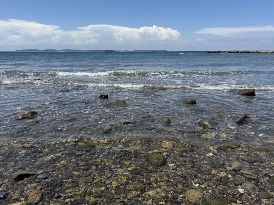 千葉県 木更津・君津・富津の貸別荘・コテージ｜SCENERY Kanaya：海