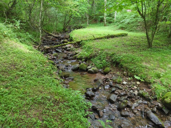長野県 八ヶ岳・富士見・原村・野辺山・小海の貸別荘・コテージ｜リスの家：川