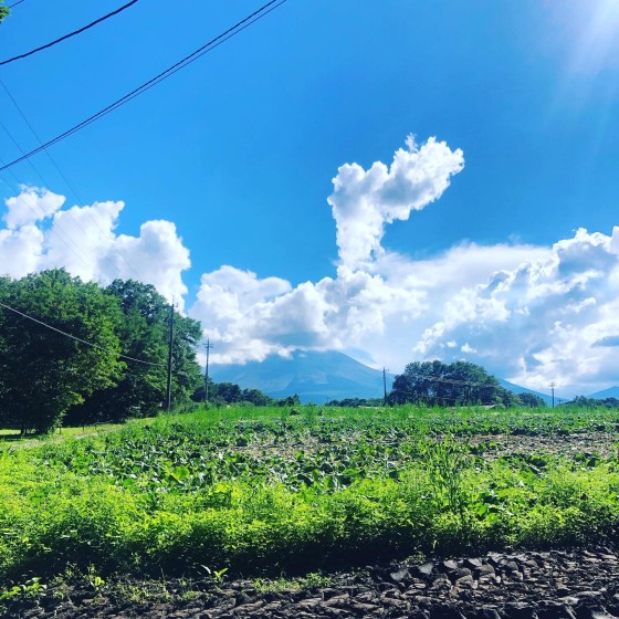 群馬県 北軽井沢・嬬恋・万座の貸別荘・コテージ｜Second House kukka (クッカ）：地域