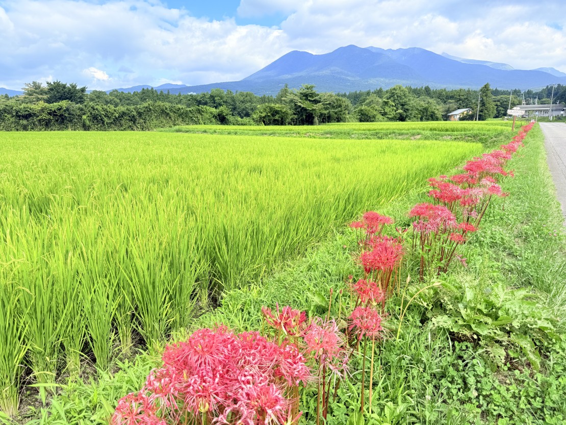 そら豆ん家｜栃木県・那須・板室｜詳細16