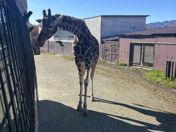 栃木県 那須・板室の貸別荘・コテージ｜そら豆ん家：地域