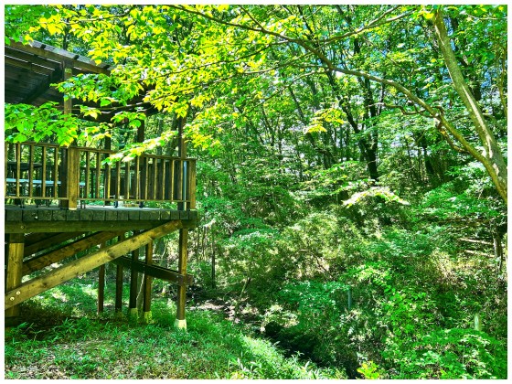 栃木県 那須・板室の貸別荘・コテージ｜ちゃ豆ん家：地域